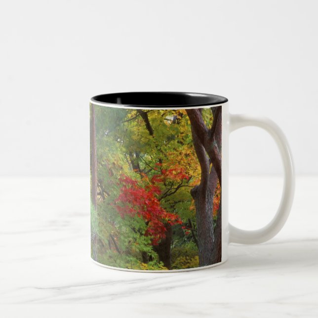 Okochi Sanso, Arashiyama, Kyoto, Japan 5 Two-Tone Coffee Mug (Right)