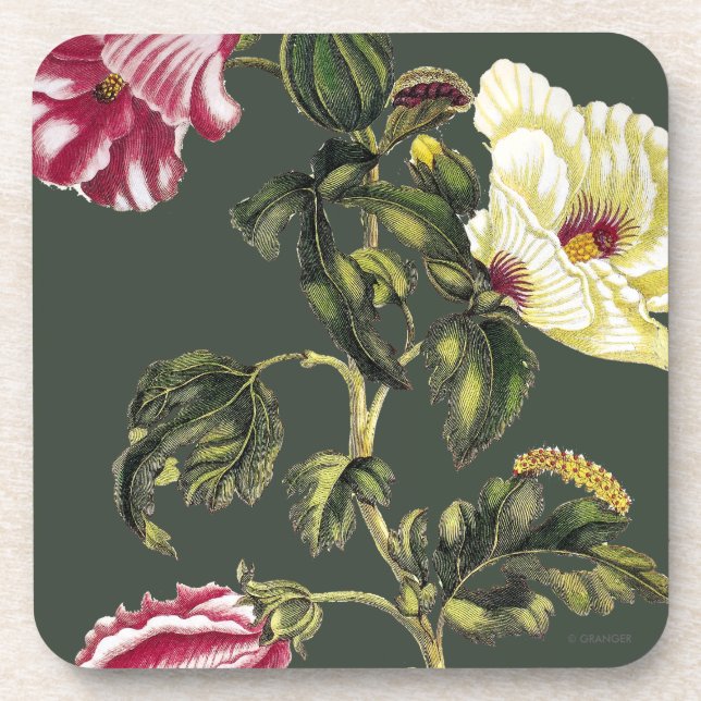 Okra Beverage Coaster (Front)