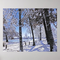 "OLANDER PARK IN SNOW"