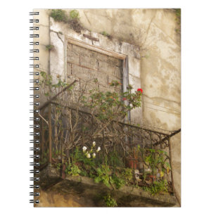 Old Abandoned House Notebook