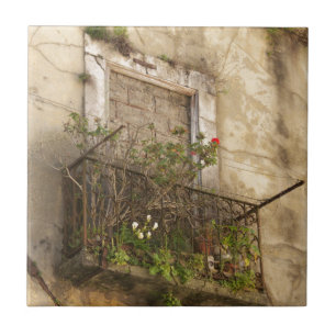 Old Abandoned House Tile