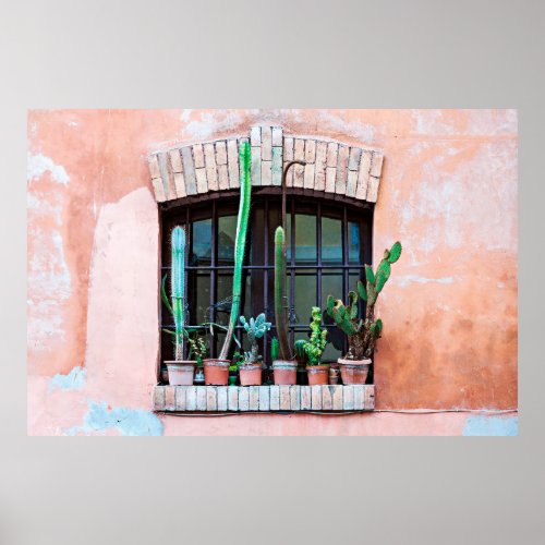 Old abandoned window with group of cactus flower p poster