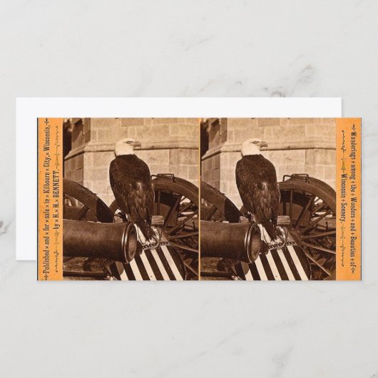 Old Abe, The Wisconsin War Eagle- Stereoview (Front/Back)