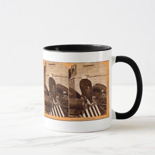 Old Abe The Wisconsin War Eagle_ Stereoview Mug