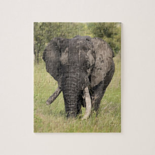 Old African elephant bull - broken tusk (Africa) Jigsaw Puzzle