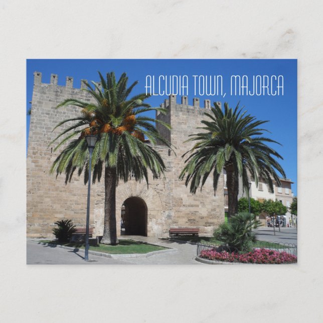 Old Alcudia Town Majorca Mallorca Spain Souvenir Postcard (Front)