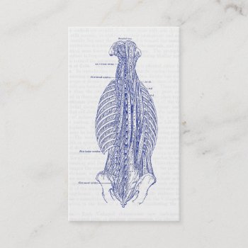 Old Anatomy Illustration The Back Business Card by vintage_anatomy at Zazzle