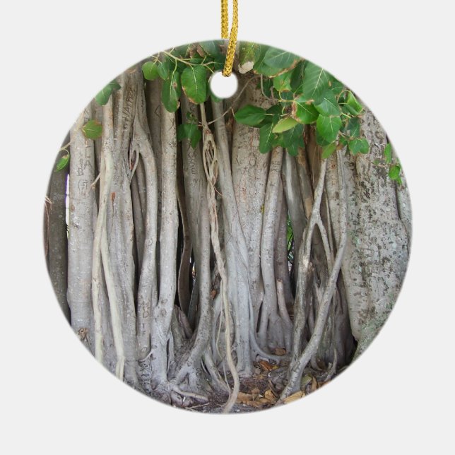 Old ancient ficus tree roots background picture ceramic ornament (Front)