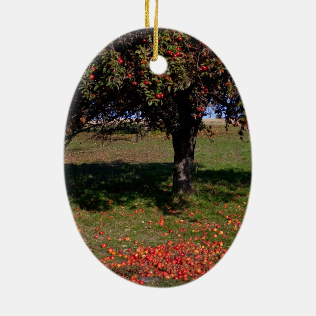 Old Apple Tree Ceramic Ornament (Back)