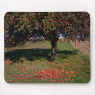 Old Apple Tree Mouse Pad
