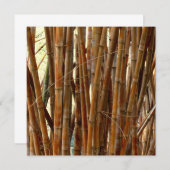 Old Bamboo (Front/Back)