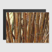 Old Bamboo (Front/Back)