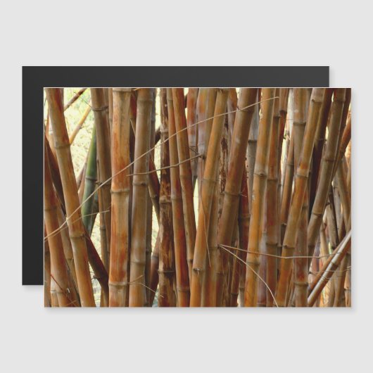 Old Bamboo (Front/Back)