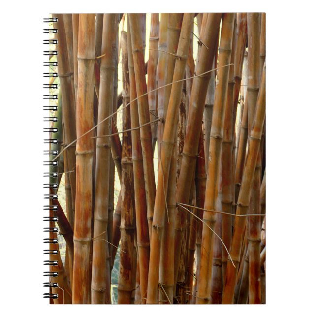 Old Bamboo Notebook (Front)
