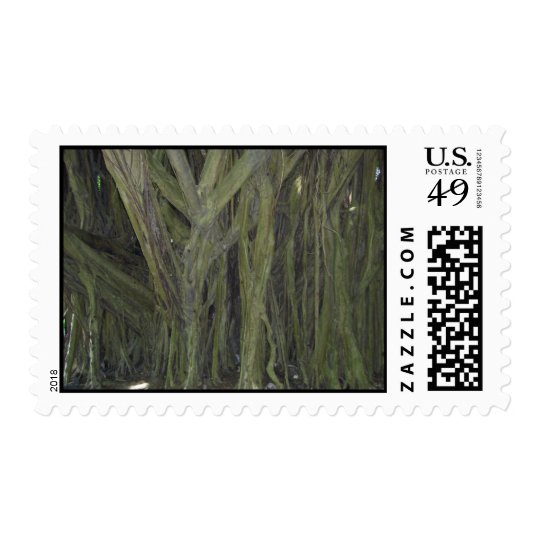 Old Banyan Tree Stamps