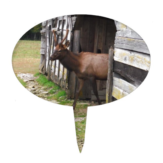 Old Barn, Elk with Velvet Antlers Cake Topper (Front)