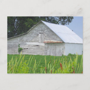 Old Barn In A Green Field Postcard