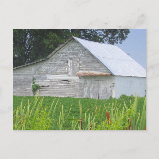 Old Barn In A Green Field Postcard (Front)