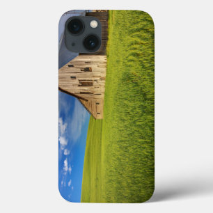 Old Barn in Field of Spring Wheat iPhone 13 Case