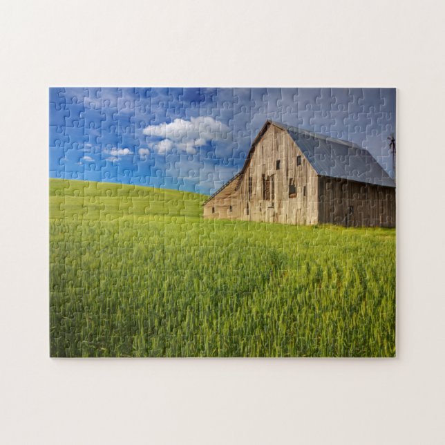 Old Barn in Field of Spring Wheat Jigsaw Puzzle (Horizontal)