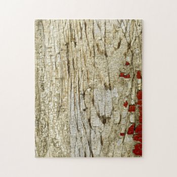 Old Barn Wood Texture Vintage Peeling Paint Shabby Jigsaw Puzzle by camcguire at Zazzle