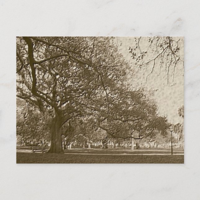 Old Battery Postcard (Front)