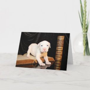 Old Bible, New Puppy Holiday Card