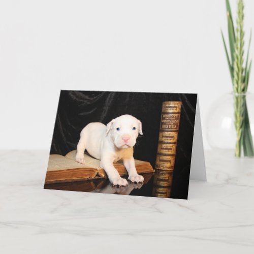 Old Bible New Puppy Holiday Card