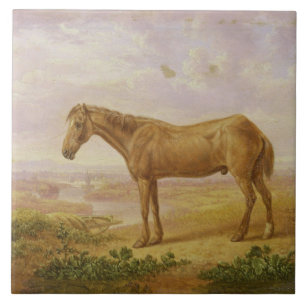 Old Billy, a Draught Horse, Aged 62 (oil on panel) Ceramic Tile