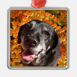 Old Black Labrador Metal Ornament