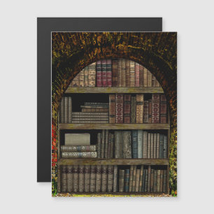 Old Book Library book lovers