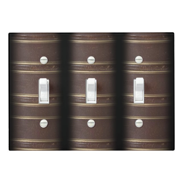 Old Book Light Switch Cover (In Situ)