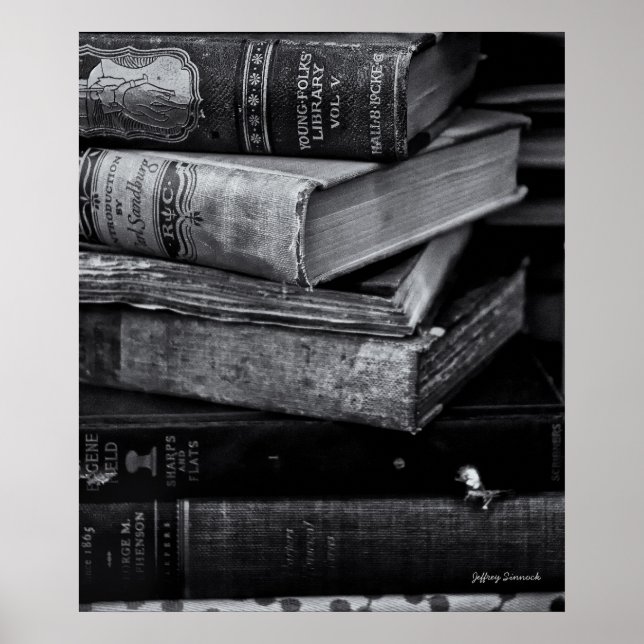 Old Books Poster (Front)