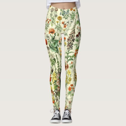 Old Botanical Illustration Leggings