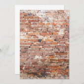 Old Brick Wall (Front/Back)