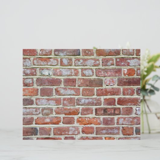 Old Brick Wall (Standing Front)