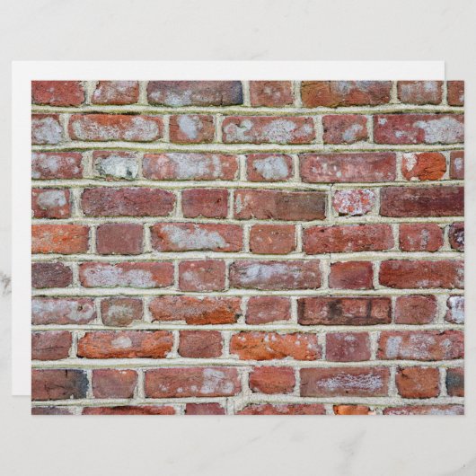 Old Brick Wall (Front/Back)