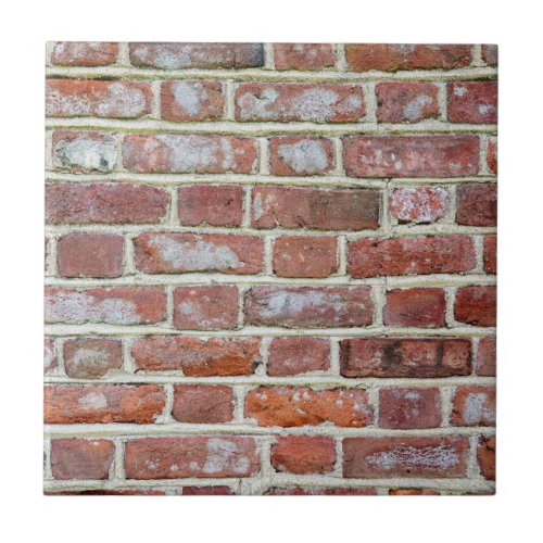 Old Brick Wall Ceramic Tile