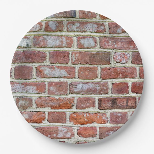 Old Brick Wall Paper Plates (Front)