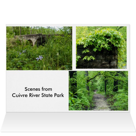 Old Bridge at Cuivre River (Inside Horizontal (Top))