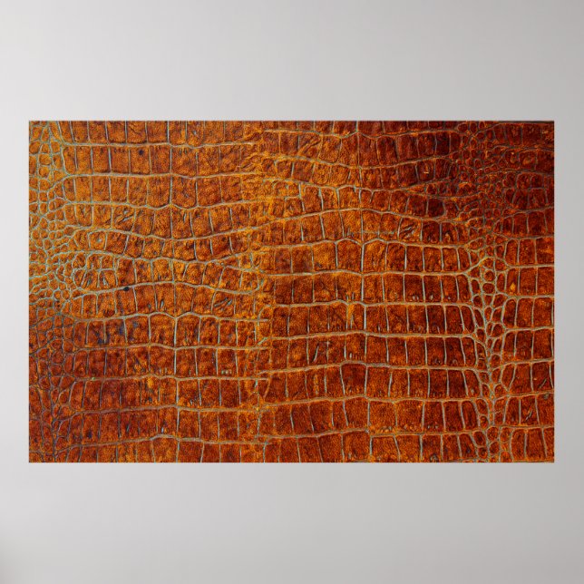 Old brown animal leather texture poster (Front)