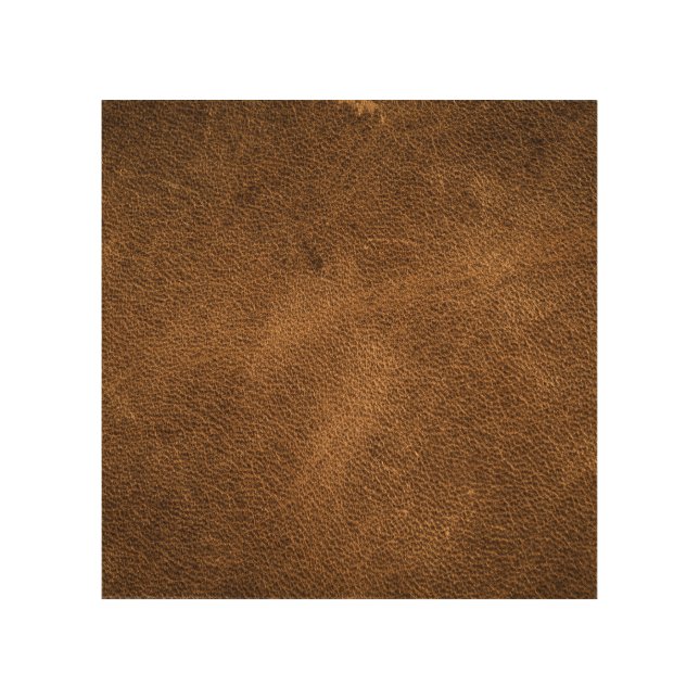 Old Brown Leather: Textured Background Wood Wall Art (Front)