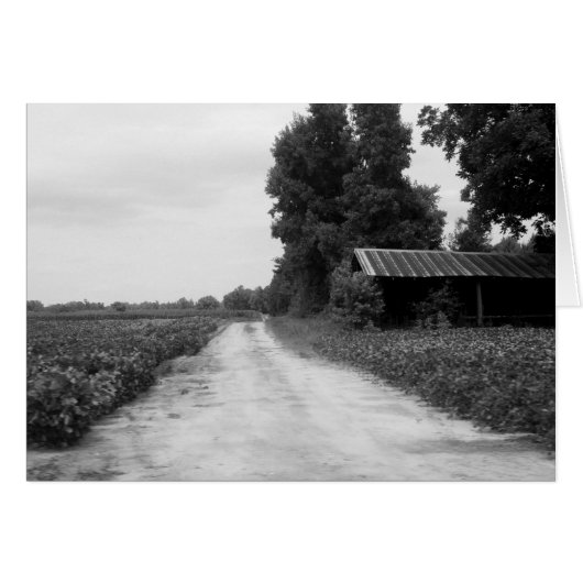 Old Building Barn in North Carolina Cards (Front Horizontal)