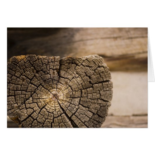 Old Cabin Textures Cards (Front Horizontal)