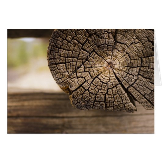 Old Cabin Wood Textures Cards (Front Horizontal)