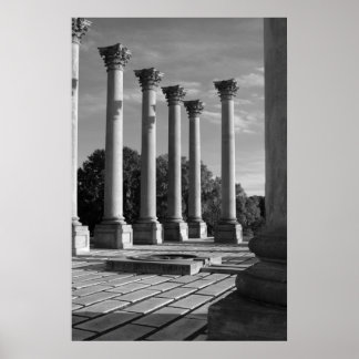 Old Capitol Columns B&W Poster