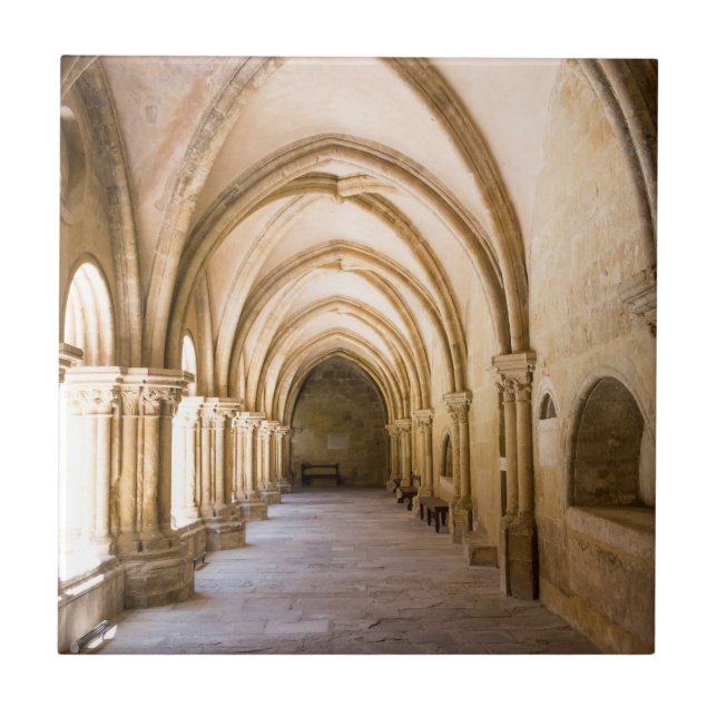 Old Cathedral Cloister Walkway Ceramic Tile (Front)