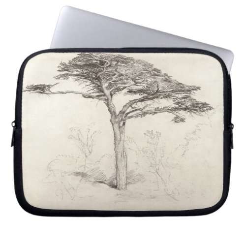 Old Cedar Tree in Botanic Garden Chelsea 1854 p Laptop Sleeve