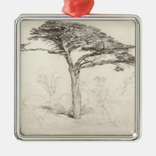 Old Cedar Tree in Botanic Garden, Chelsea, 1854 (p Metal Ornament