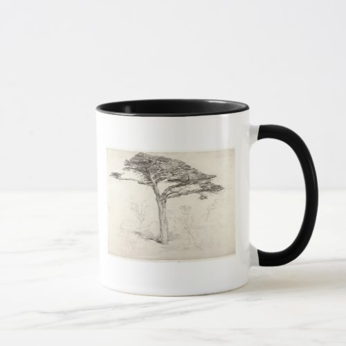 Old Cedar Tree in Botanic Garden Chelsea 1854 p Mug